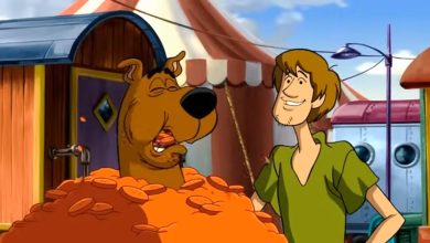 Scoobystep 5