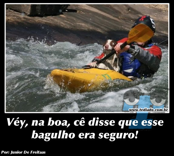 Plaquinhas divertidas #14 42