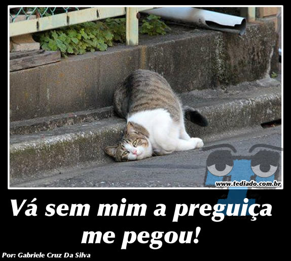 Plaquinhas divertidas #13 25
