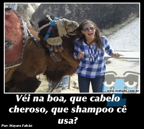 Plaquinhas divertidas #13 28