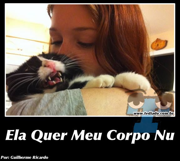 Plaquinhas divertidas #14 49