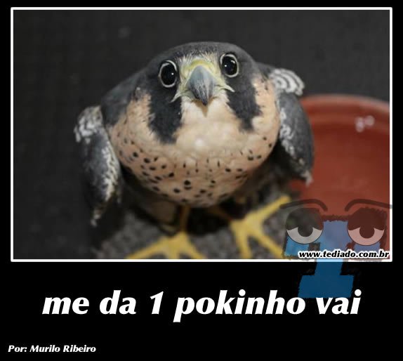 Plaquinhas divertidas #13 30