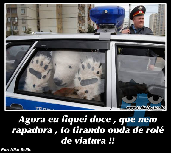 Plaquinhas divertidas #14 50