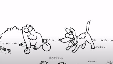 Gato Simon – E o cachorro 5