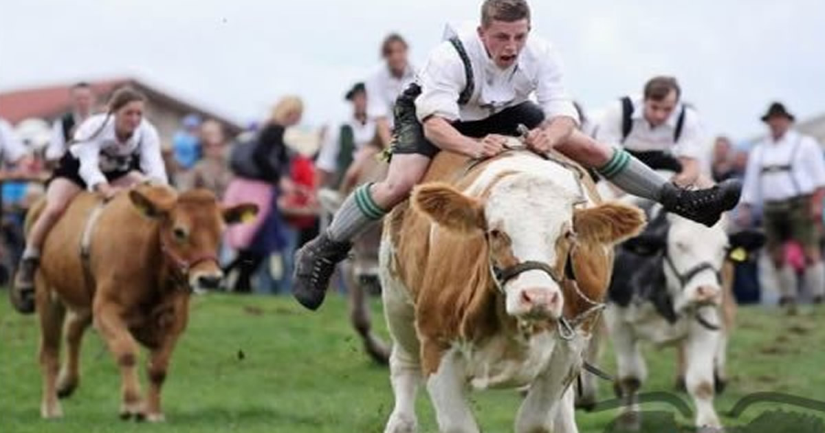 Plaquinhas divertidas #12