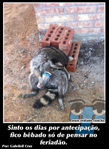 Plaquinhas divertidas #16 41