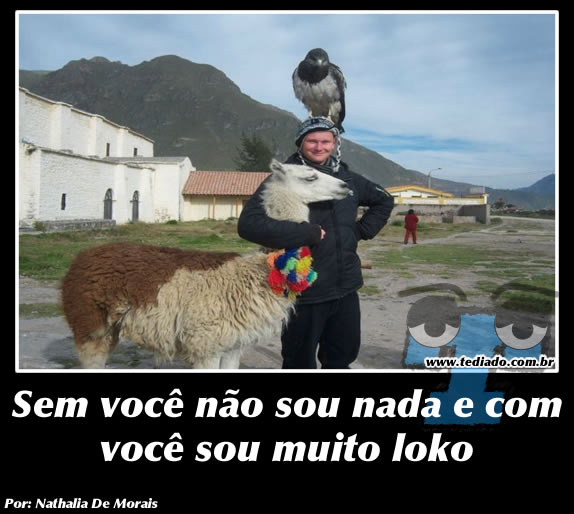 Plaquinhas divertidas #16 42