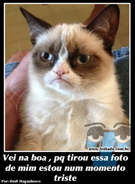 Plaquinhas divertidas #16 45