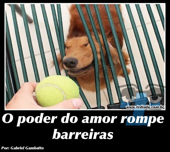 Plaquinhas divertidas #16 46