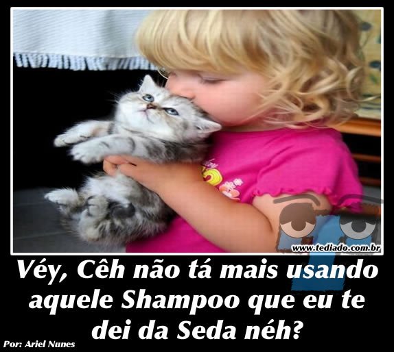 Plaquinhas divertidas #18 46