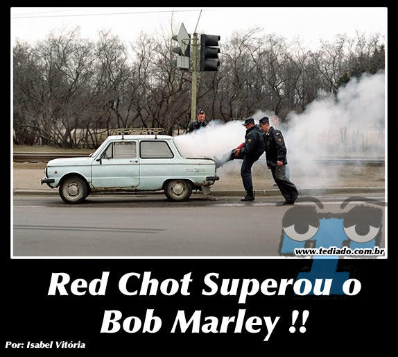 Plaquinhas divertidas #18 47