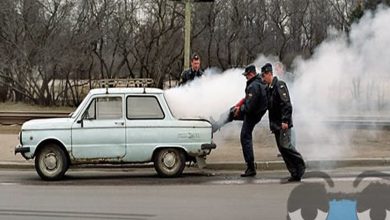 Plaquinhas divertidas #18 12