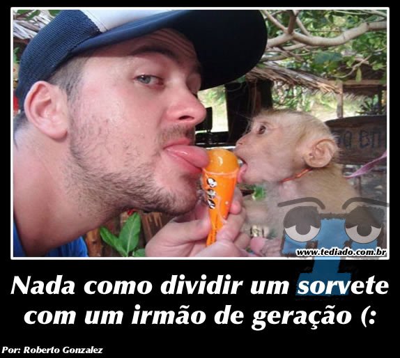 Plaquinhas divertidas #21 42