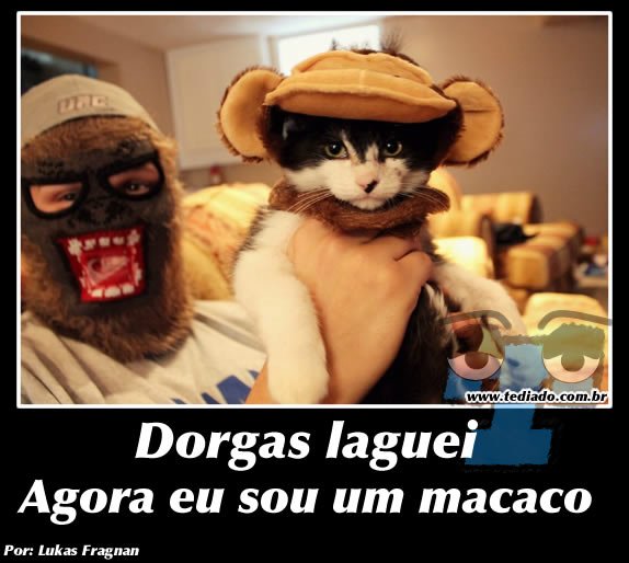 Plaquinhas divertidas #21 43