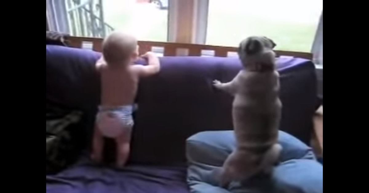 Uh Papai chegou!