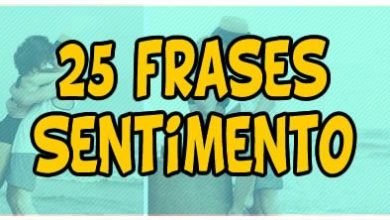25 frases Sentimento 9