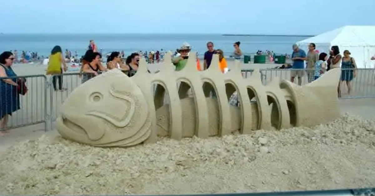 Coisas que você não vê todos os dias