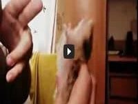 Hamster atuar em uma cena de assassinato 9