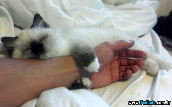 imagens_emocionais10