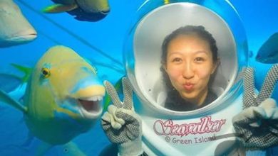 Plaquinhas divertidas #28 8