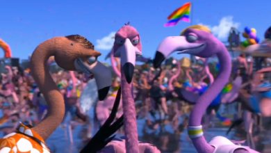 Animação - Flamingo Pride 10