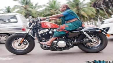 Coleção de imagens emocionais #3 50