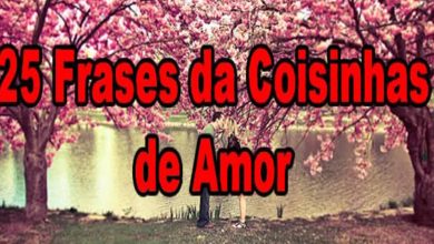 25 Frases da Coisinhas de Amor 4