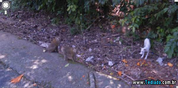 google_street_view31