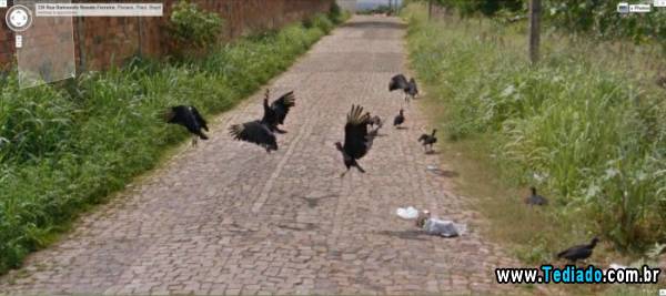 google_street_view43