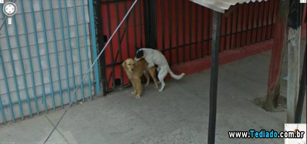 google_street_view47