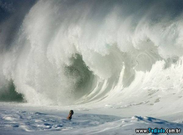 imagens_emocionais03