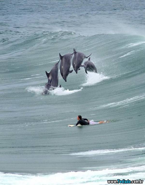 imagens_emocionais17