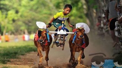 Plaquinhas divertidas #31 6