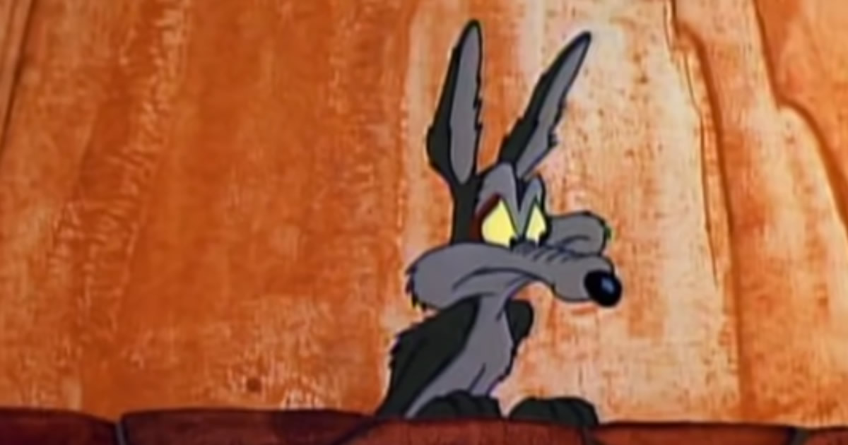 Coyote e Papaleguas em Sobrevivi