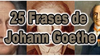 25 Frases de Johann Goethe 4
