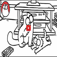 Gato Simon – E a TV 3