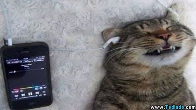 Fotos legais #14 (29 fotos) 33