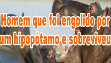Homem que foi engolido por um hipopótamo e sobreviveu 6