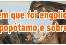 Homem que foi engolido por um hipopótamo e sobreviveu 9