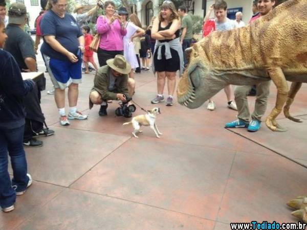 PUBLISHED by catsmob.com