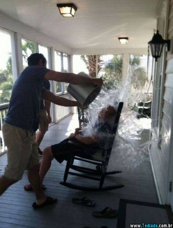 PUBLISHED by catsmob.com