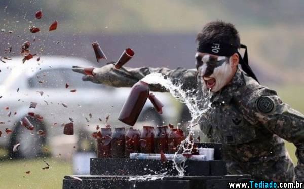 PUBLISHED by catsmob.com