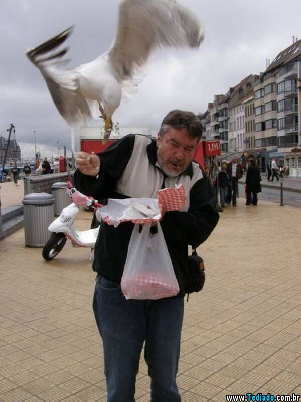 PUBLISHED by catsmob.com