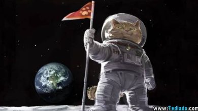 Fotos legais #15 (30 fotos) 40