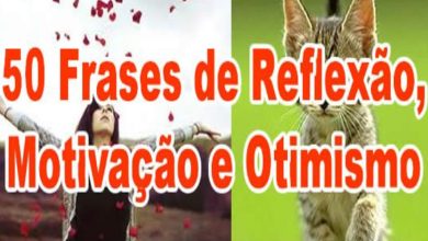 50 Frases de Reflexão, Motivação e Otimismo 8
