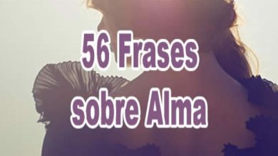 56 frases sobre alma 4