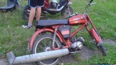 Isso só acontece na Rússia. (30 fotos) 23