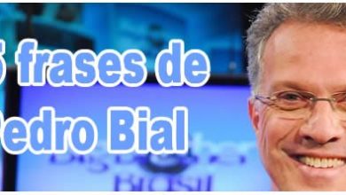 25 frases de Pedro Bial 4