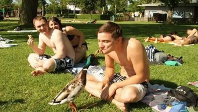 Plaquinhas divertidas #36 49