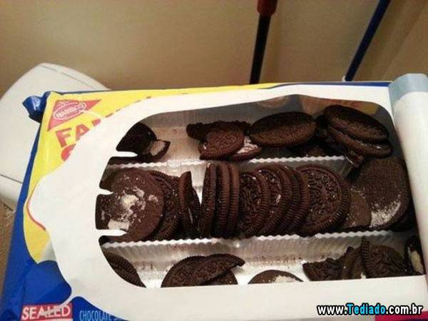 faca_o_que_eu_quero_11